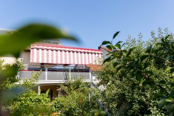 Totalansicht einer rot-weiß gestreiften Kassettenmarkise vor blauem Himmel und Bäumen. Der Volant ist heruntergelassen.